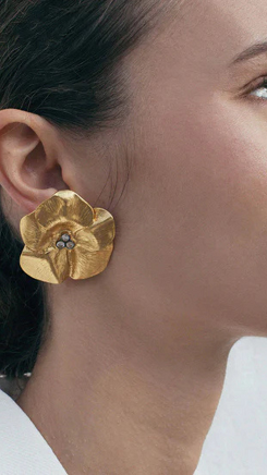 Diseño sin título_20250310_185650_0000